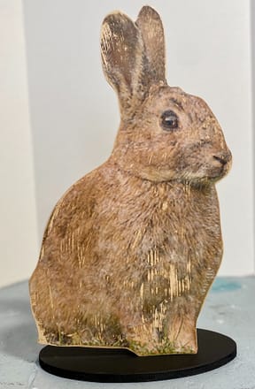 main photo of Rabbit cutout