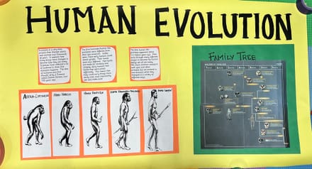 main photo of Human Evolution Banner