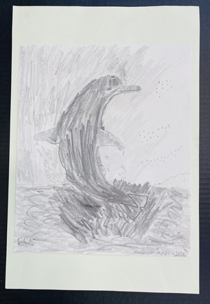 main photo of Dolphin Teen Drawing