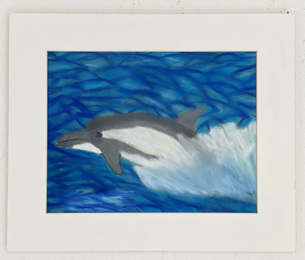 main photo of Dolphin Teen Drawing Matted 31