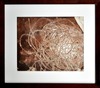 Cleared Print; Brown Squiggly String Off White Mat