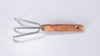 Hand Fork with Wooden Handle