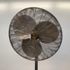 Standing Fan