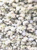 4’x 8’ Silk Flower Wall