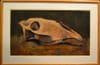 Still Life Painting