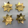 Badge ~ Gold Deputy Sheriff 7-Point Star