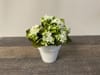 SILK Faux Kalanchoe Plant