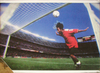 Unframed Cleared Poster; Soccer Goal