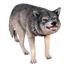 Dog Wild Wolf Growling Animal Prop Life Size Decor Resin Statue