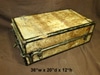 trunk brown fiber 1