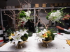 FRESH Abstract Arrangements