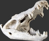 Crocodile Head Mouth Open Skeleton Life Size Reptile Prop Resin Decor Statue