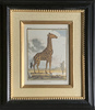 MISART-La Giraffe