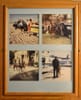 Four Framed Police Photos
