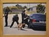 K-9 Officer