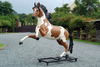 Indian Chief Warrior On Horse Life Size Prop Resin Decor Statue