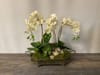 SILK Orchid and Succulent Footed Tray B