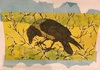 Bird on a Branch