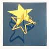 Bright Star Graphic