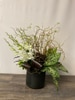 FRESH Contemporary Clustered Floral