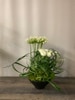 FRESH Modern Ranunculus Floral