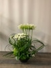 FRESH Modern Ranunculus Floral