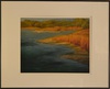 Riverbank Landscape