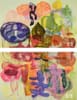 STAJOS-I See You Made an Effort Diptych 1/2 (30x48" Foam Core)