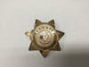 Badge ~ Gold Security Officer