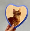 Cat on wooden heart