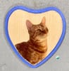 Cat on wooden heart