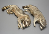 Soft Mount Taxidermy Raccoon