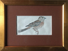 MISART-Small Bird 1