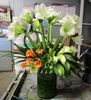 FRESH Modern Amaryllis Arrangements