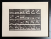 MISART-Antique Hand & Ball Movement Gravure