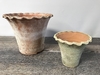 Aged Terracotta Waved Rim Vase D