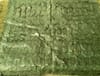 Galax Leaf and Moss Tablecloth