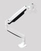 Monitor Arm