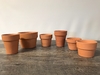 Terracotta Pot D