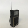Portable Radio