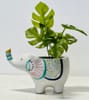 Elephant Planter