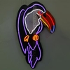 TOUCAN #01