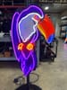 TOUCAN #01