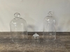 Glass Cloche