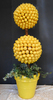 Lemon Spheres Topiaries