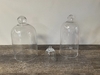 Glass Cloche