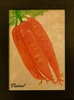 Still Life Carrots