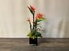 SILK Birds of Paradise in Black Glass Cubes