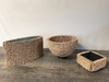 Papyrus Planter B