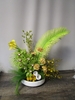 FRESH Tinted Sego Palm Whimsical Arrangement